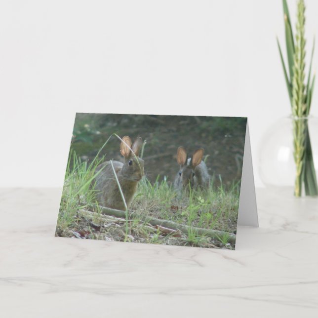 Cartes Pour Fêtes Annuelles Cadeaux sauvages d'habillement de paires de lapin (Devant)