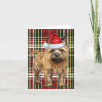 Cairn Terrier Chien de Noël Joué Noël