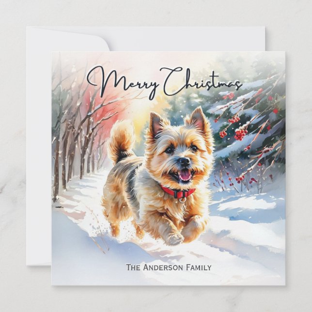 Cartes Pour Fêtes Annuelles Cairn Terrier en hiver neige Joyeux Noël (Devant)