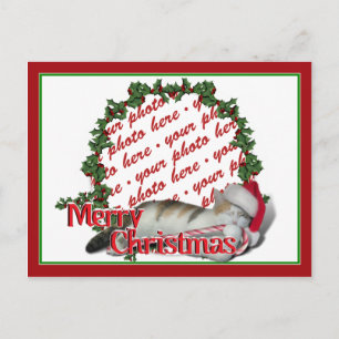 Cartes Pour Fêtes Annuelles Cali le cadre photo du chat de Noël de Calico