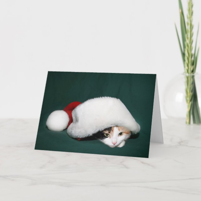 Cartes Pour Fêtes Annuelles Calicot Père Noël (Devant)