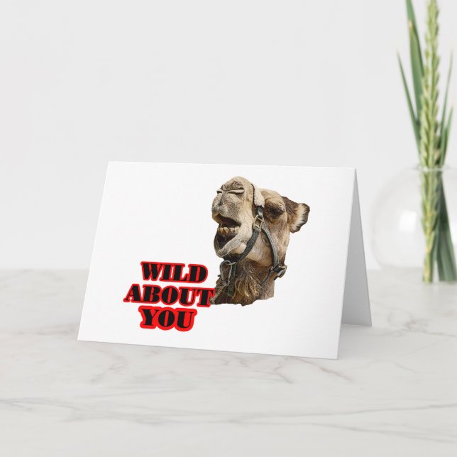 Cartes Pour Fêtes Annuelles Camel Lover (Devant)