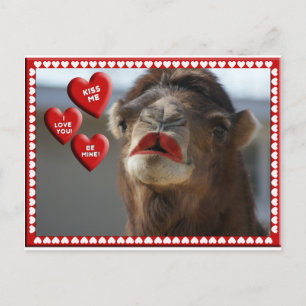 CARTES POUR FÊTES ANNUELLES CAMEL VALENTINE - PORTEFEUILLE - KISS ME!