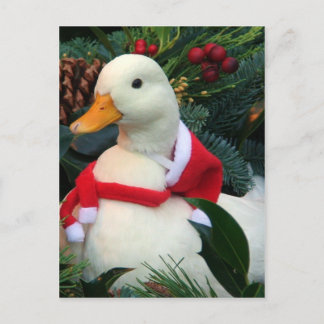 Cartes Pour Fêtes Annuelles Canard