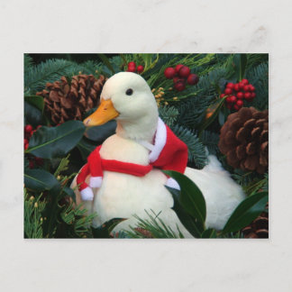 Cartes Pour Fêtes Annuelles Canard