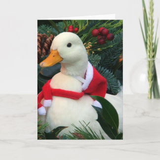 Cartes Pour Fêtes Annuelles Canard de vacances