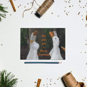 Cartes Pour Fêtes Annuelles Canards blancs de Noël chantant