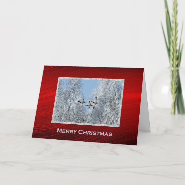 Cartes Pour Fêtes Annuelles Canards colverts photo de neige Noël (Devant)