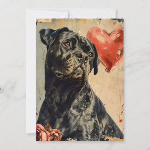 Cartes Pour Fêtes Annuelles Cane Corso Saint Valentin Vintage,