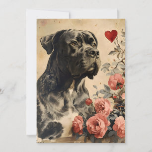 Cartes Pour Fêtes Annuelles Cane Corso Saint-Valentin Vintage 