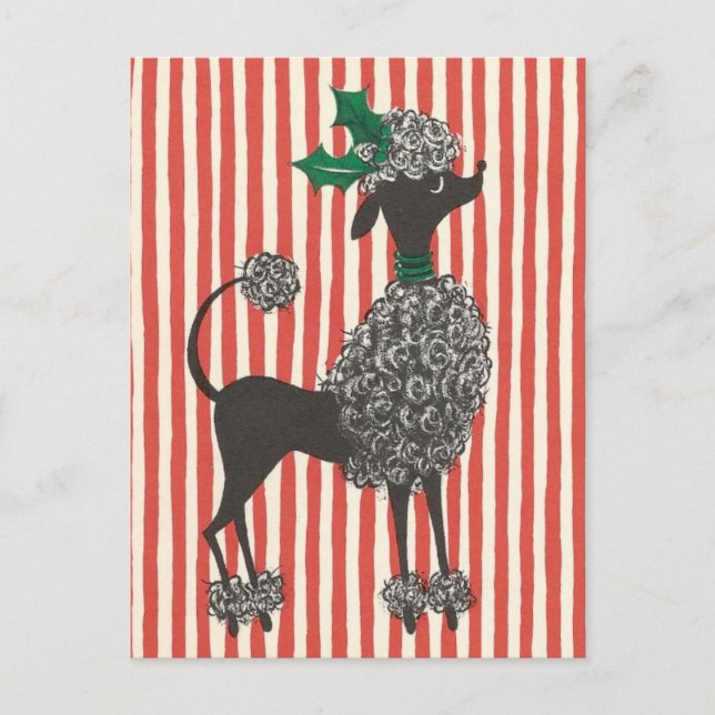 Cartes Pour Fêtes Annuelles Caniche de Noël (Devant)