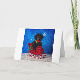 Cartes Pour Fêtes Annuelles Caniche de Noël