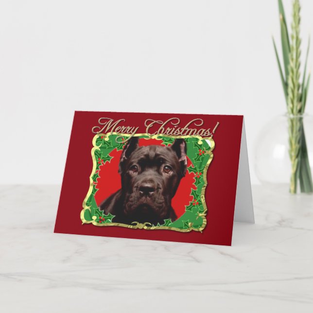 Cartes Pour Fêtes Annuelles Canne de Noël Corso chien (Devant)