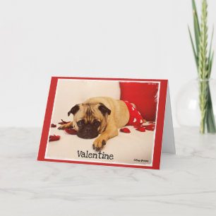 Cartes Pour Fêtes Annuelles Cannelure de carlin