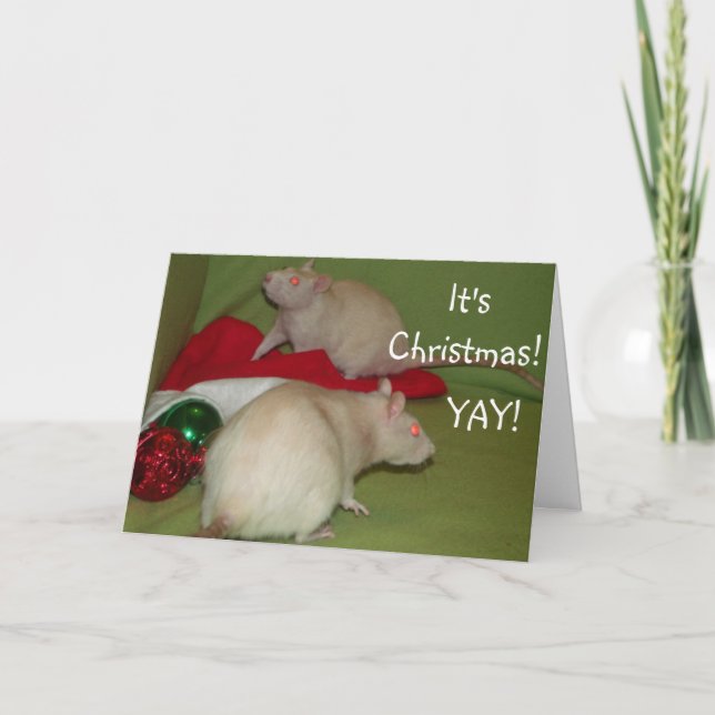 Cartes Pour Fêtes Annuelles card ! (Devant)