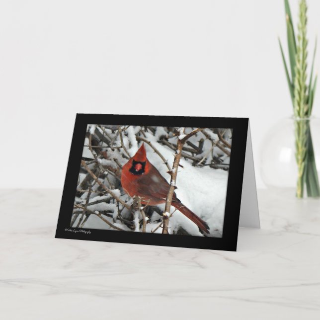 Cartes Pour Fêtes Annuelles Cardinal Christmas Card (Devant)
