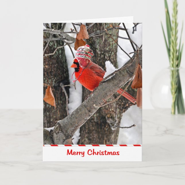 Cartes Pour Fêtes Annuelles Cardinal de Noël (Devant)