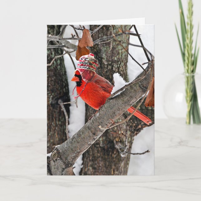 Cartes Pour Fêtes Annuelles Cardinal de Noël (Devant)