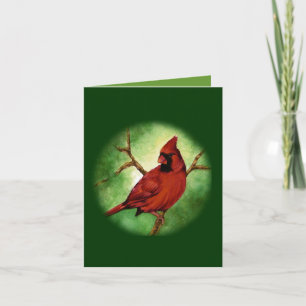 Cartes Pour Fêtes Annuelles Cardinal de Noël