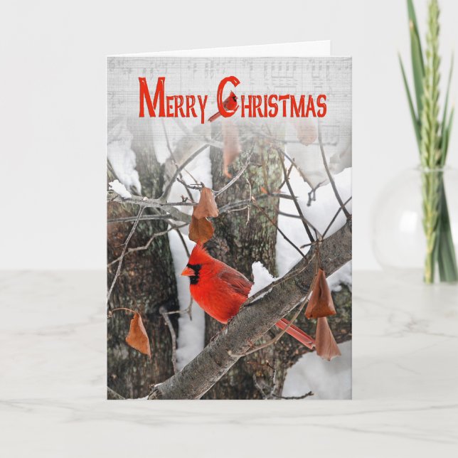 Cartes Pour Fêtes Annuelles Cardinal de Noël dans l'arbre (Devant)
