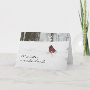 Cartes Pour Fêtes Annuelles Cardinal en hiver Noël de neige