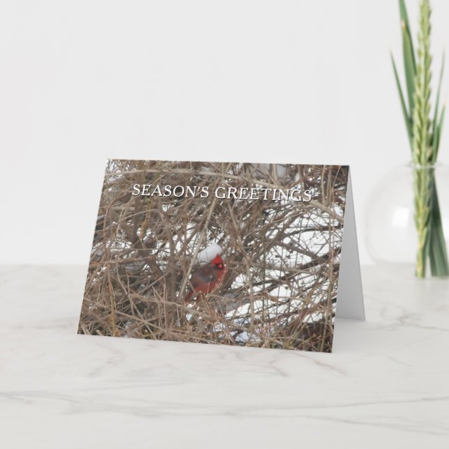 Cartes Pour Fêtes Annuelles Cardinal rouge en Bonnes Fêtes de neige (Devant)
