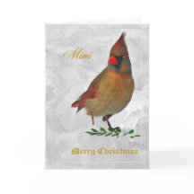 Cardinal rouge femelle du devant dans la neige sai