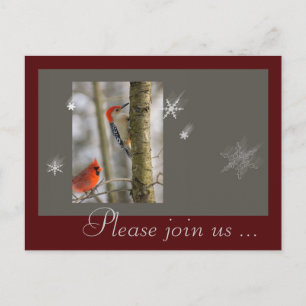 Cartes Pour Fêtes Annuelles Cardinal rouge gris oiseau pic sur bois