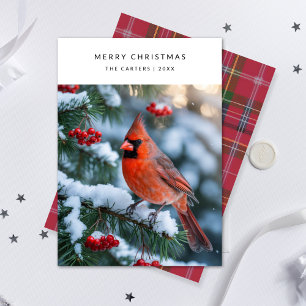 Cartes Pour Fêtes Annuelles Cardinal Rouge Joyeux Noël Bird Photo Holi