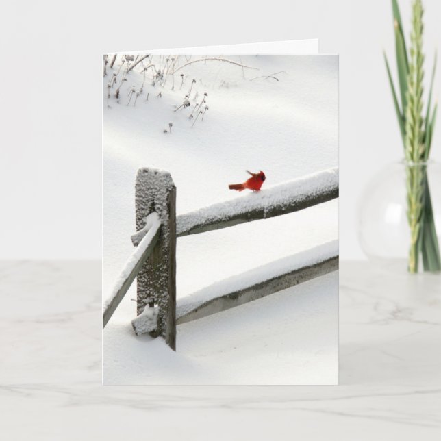 Cartes Pour Fêtes Annuelles Cardinal sur la barrière de Milou (Devant)