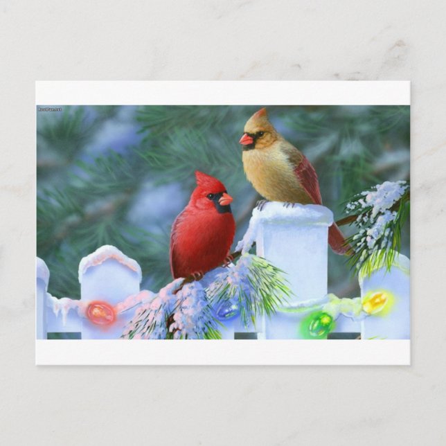 Cartes Pour Fêtes Annuelles Cardinaux et lumières de Noël (Devant)