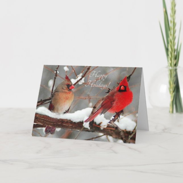 Cartes Pour Fêtes Annuelles cardinaux mâles et femelles (Devant)