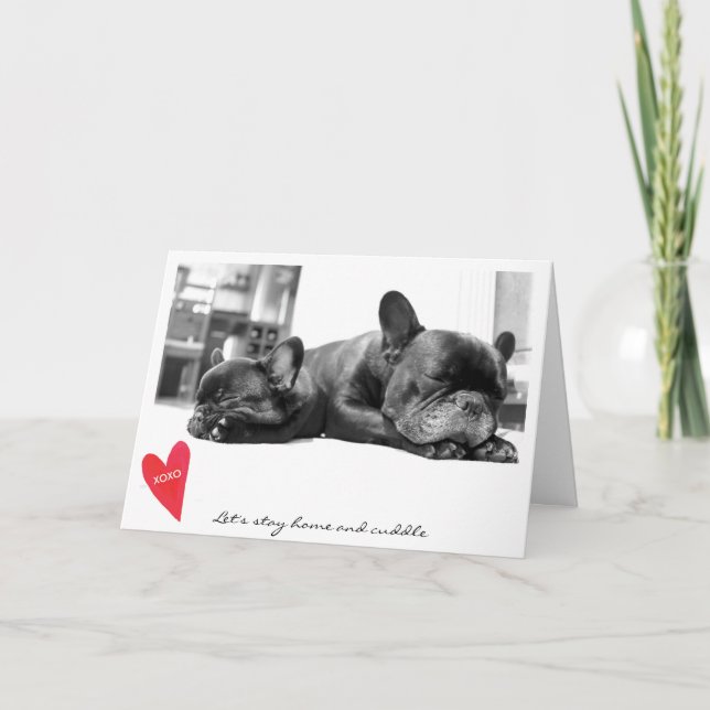 Cartes Pour Fêtes Annuelles Caresse mignonne de photo de bouledogue français (Devant)