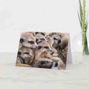 Cartes Pour Fêtes Annuelles Caresses de vacances