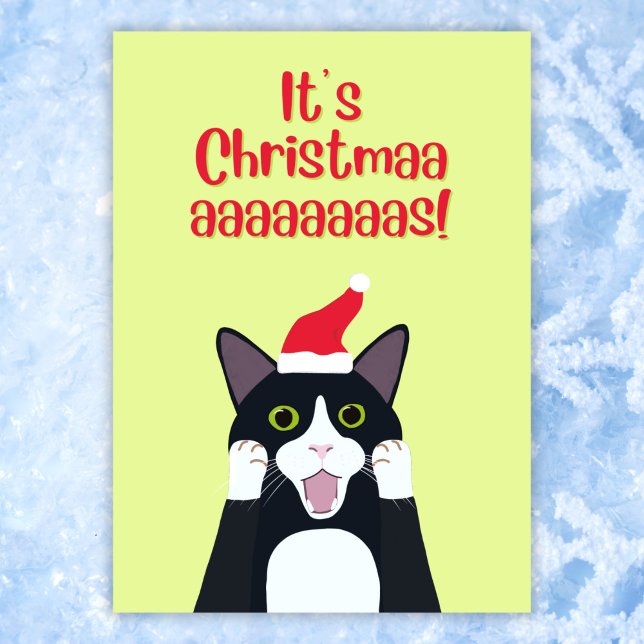Cartes Pour Fêtes Annuelles Caricature pour chat tuxedo (Créateur téléchargé)
