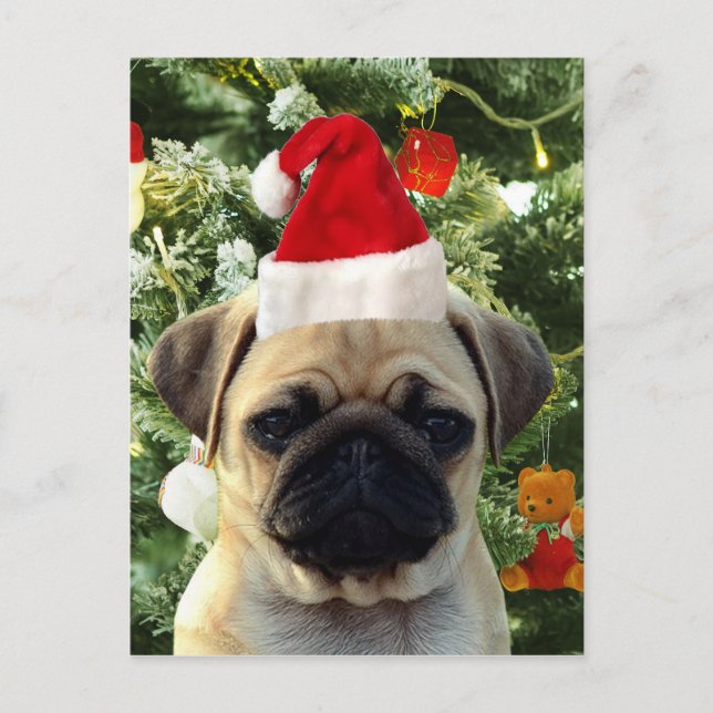 Cartes Pour Fêtes Annuelles Carlin Chien Chien Chien de Noël Arbre de Noël Orn (Devant)
