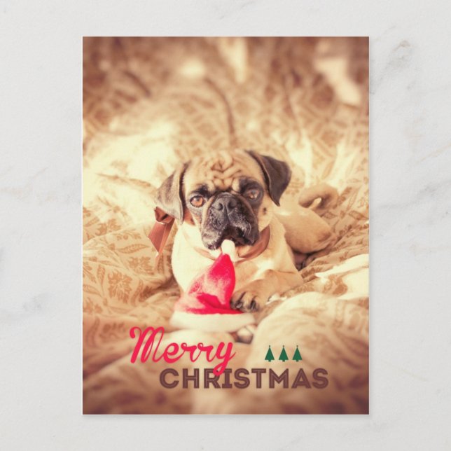 Cartes Pour Fêtes Annuelles Carlin de Joyeux Noël (Devant)