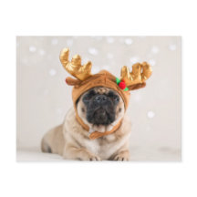 Carlin de Noël