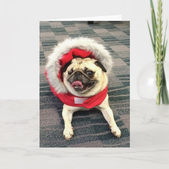 Cartes Pour Fêtes Annuelles Carlin de Noël (Devant)