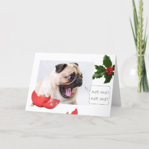 Cartes Pour Fêtes Annuelles Carlin de Noël coquin