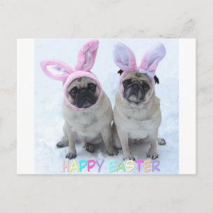 Cartes Pour Fêtes Annuelles Carlin Lapin de Pâques