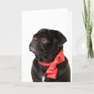 Cartes Pour Fêtes Annuelles Carlin noir avec arc rouge