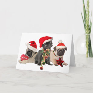 Cartes Pour Fêtes Annuelles Carlin Père Noël Paws vous souhaite de joyeux cart