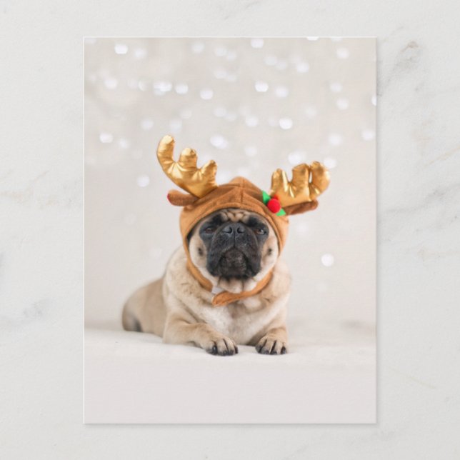 Cartes Pour Fêtes Annuelles Carlin XMas (Devant)
