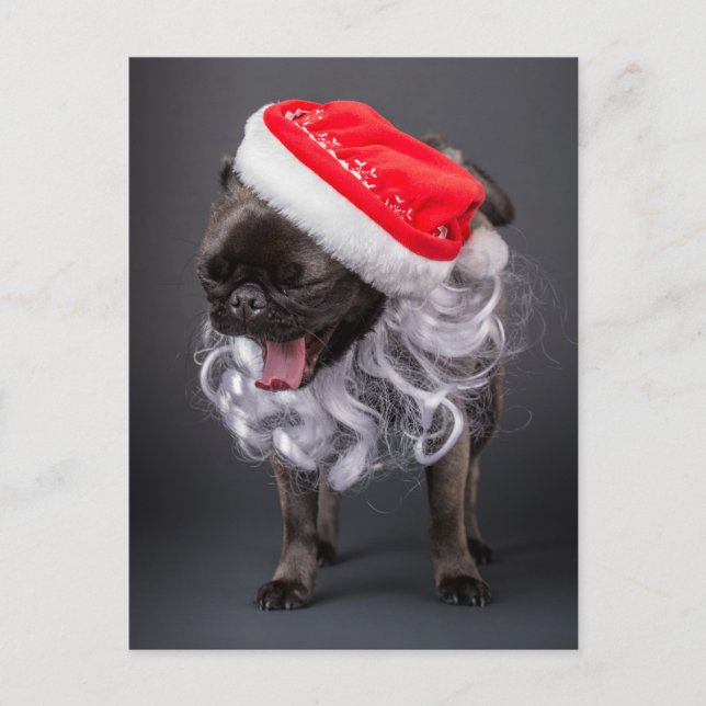 Cartes Pour Fêtes Annuelles Carlin Yawning in a Santa Hat and Beard (Devant)