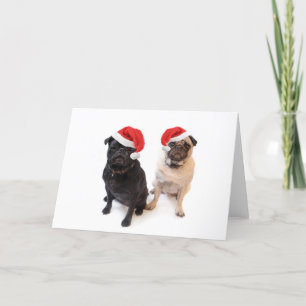 Cartes Pour Fêtes Annuelles carlins de noël