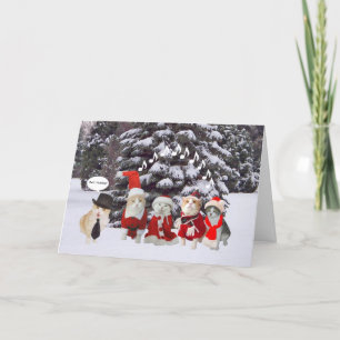 Cartes Pour Fêtes Annuelles Caroleurs de chat amusants