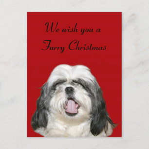 Cartes Pour Fêtes Annuelles Caroling Christmas Shih Tzu