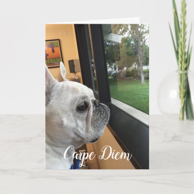 Cartes Pour Fêtes Annuelles Carpe Diem-Your world attend! (Devant)