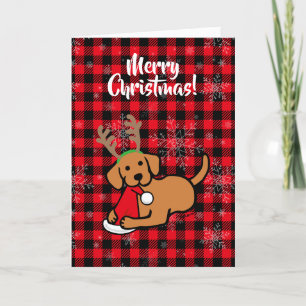 Cartes Pour Fêtes Annuelles Carton de Noël Fox Red Labrador et Père Noël